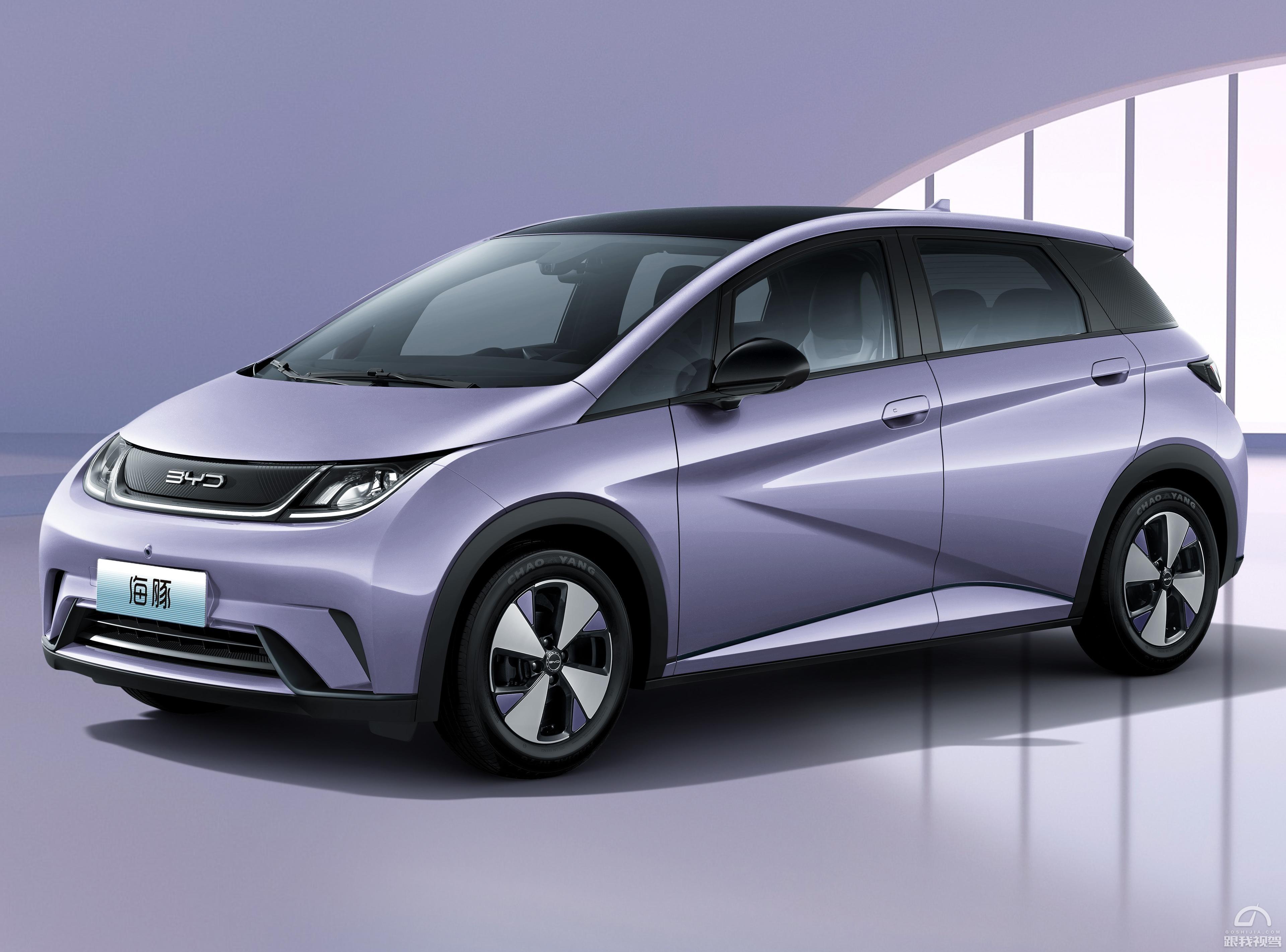 Front three-quarter view of a purple BYD DOLPHIN